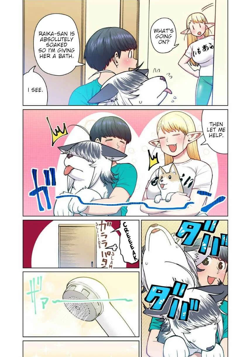 Shin Elf-san wa Yaserarenai. (Official Colored) Chapter 4: The Dog at the Door - Page 7