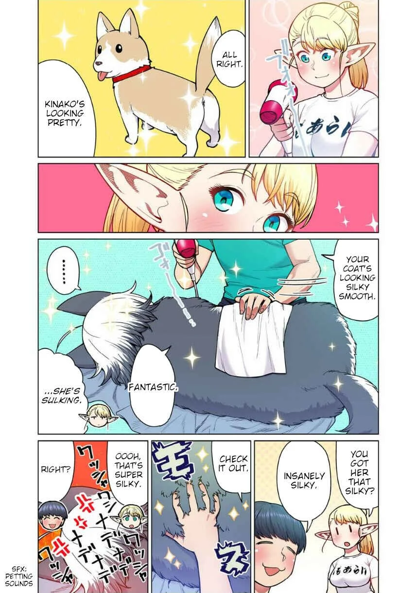 Shin Elf-san wa Yaserarenai. (Official Colored) Chapter 4: The Dog at the Door - Page 8