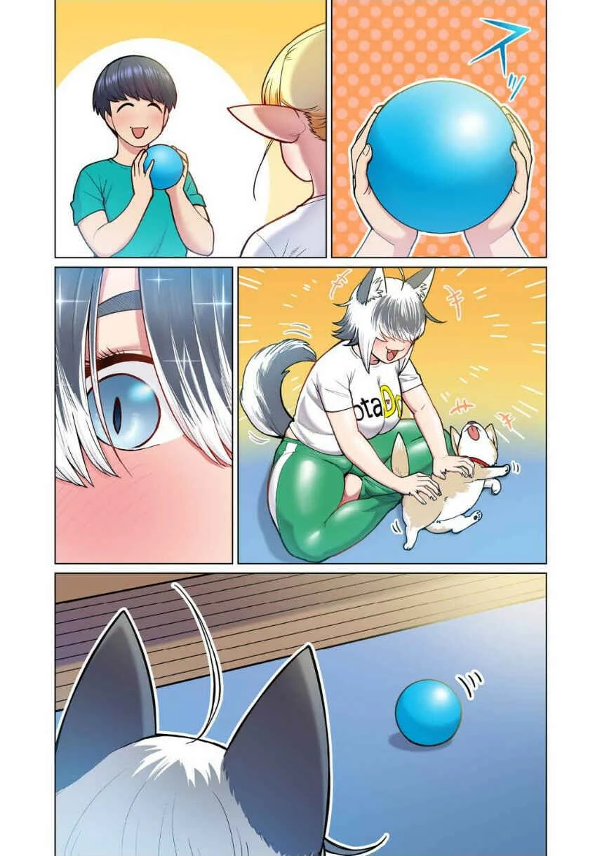 Shin Elf-san wa Yaserarenai. (Official Colored) Chapter 4: The Dog at the Door - Page 11