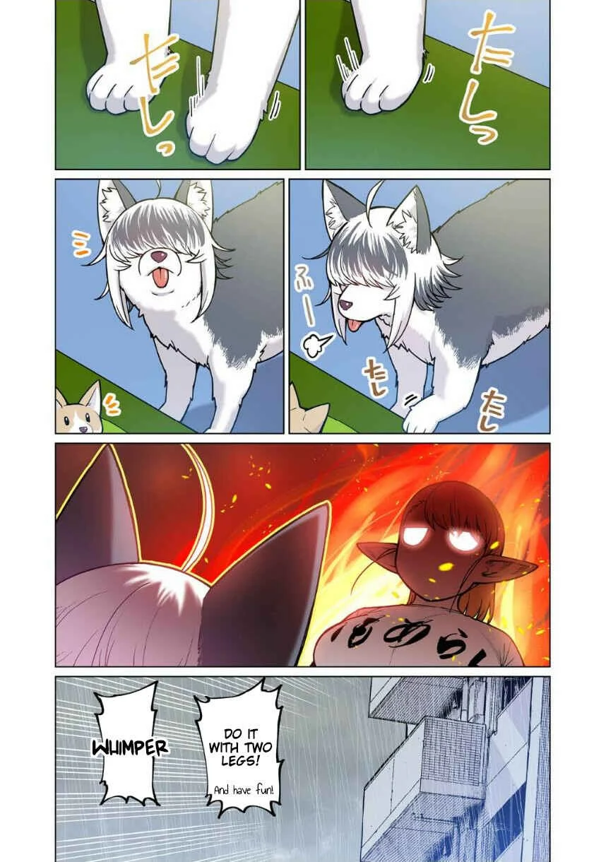 Shin Elf-san wa Yaserarenai. (Official Colored) Chapter 4: The Dog at the Door - Page 19