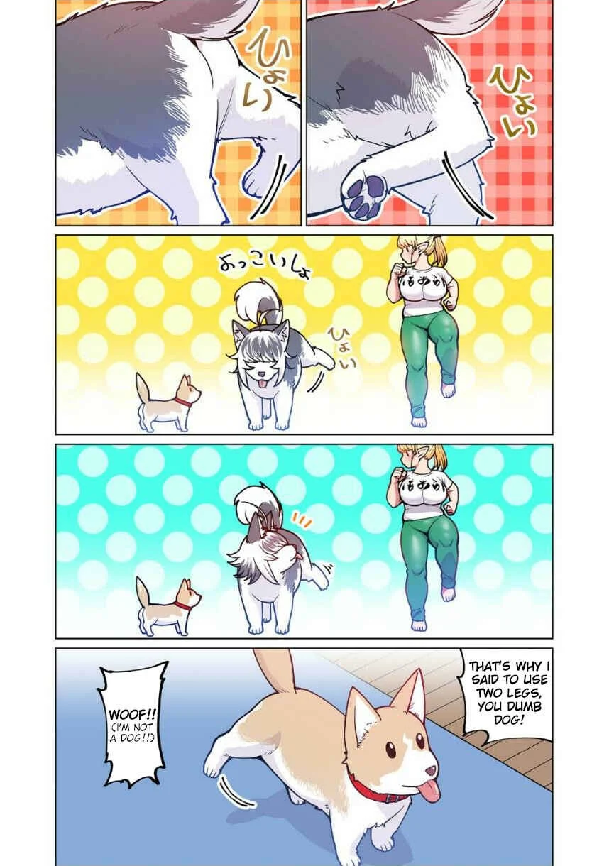 Shin Elf-san wa Yaserarenai. (Official Colored) Chapter 4: The Dog at the Door - Page 23