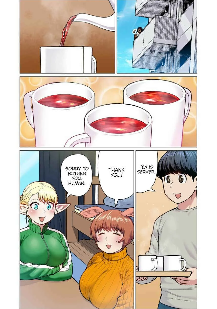 Shin Elf-san wa Yaserarenai. (Official Colored) Chapter 5: Forest Pig - Page 2