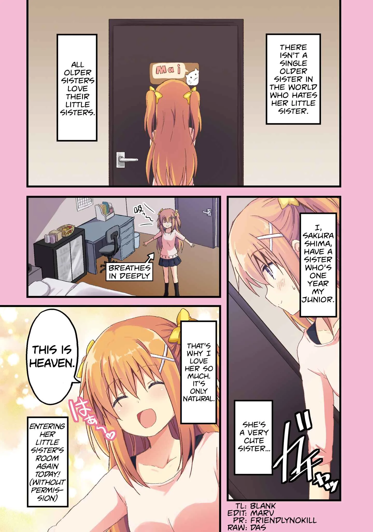 Siscon Oneechan to Kinishinai Imouto Chapter 1: Siscon Elder Sister and Little Sister's Room - Page 5
