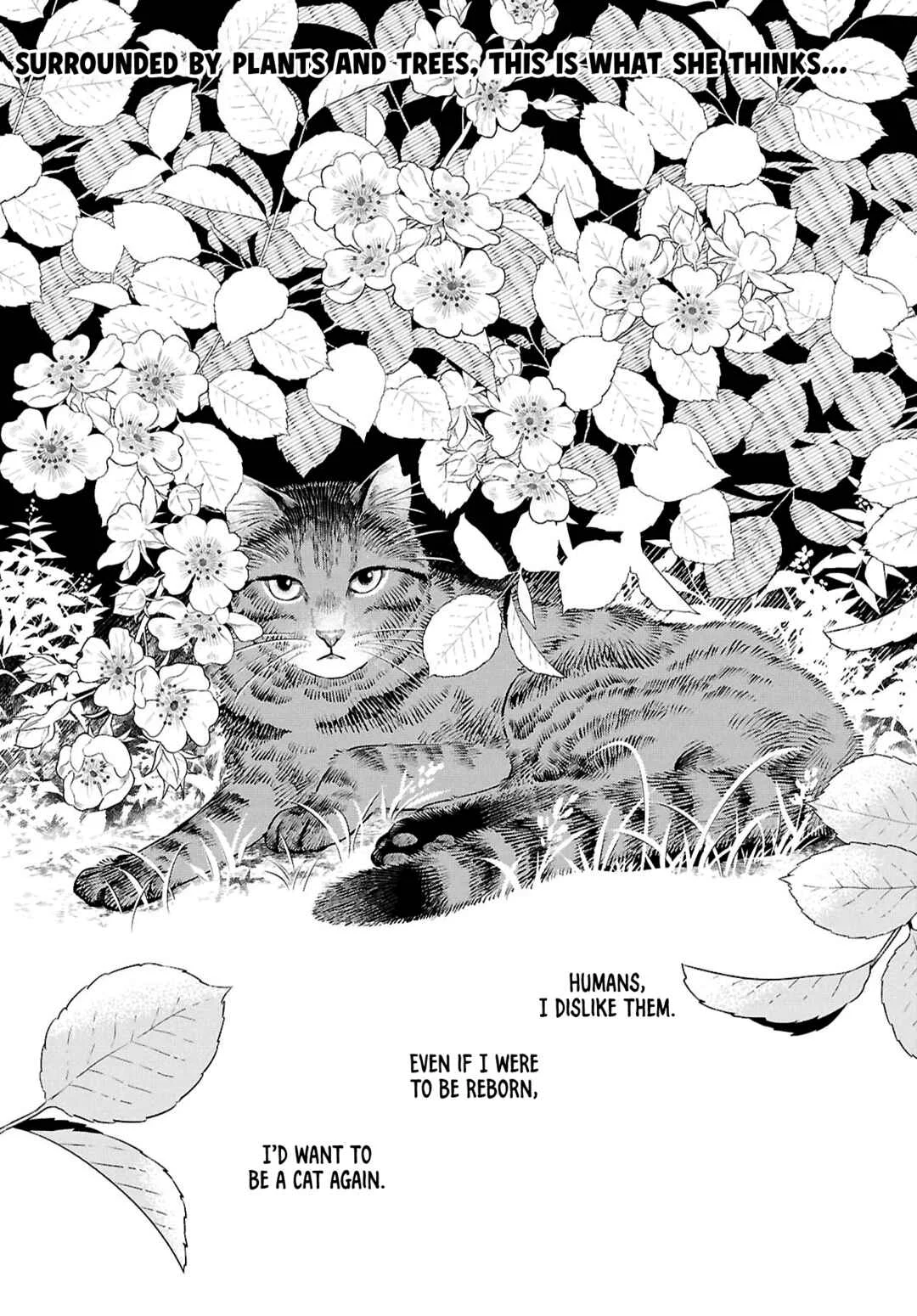 Tenshi no Ashiato Chapter 1: The Rambler Rose's Eyes - Page 3