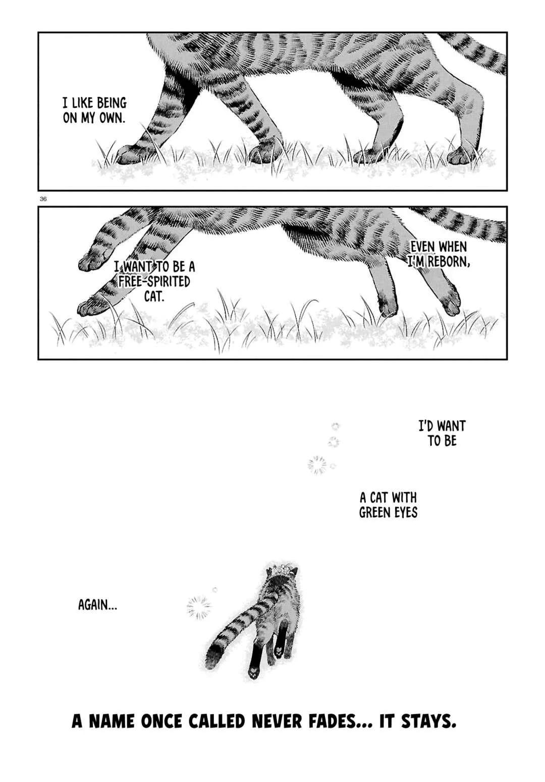 Tenshi no Ashiato Chapter 1: The Rambler Rose's Eyes - Page 37