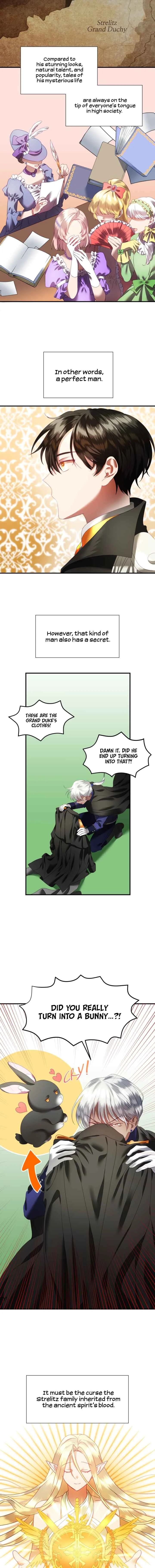 The Fake Lady and Her Rabbit Duke Chapter 2 - Page 4