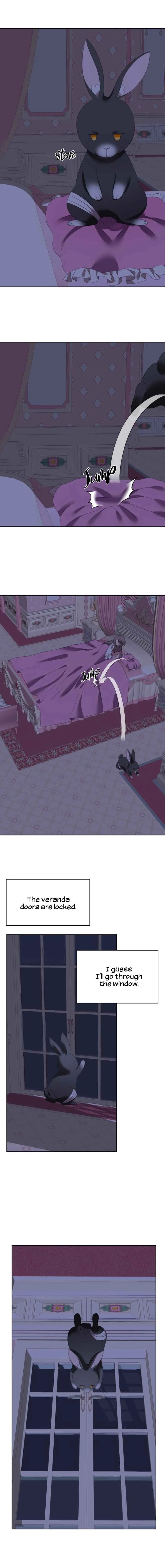 The Fake Lady and Her Rabbit Duke Chapter 3 - Page 7