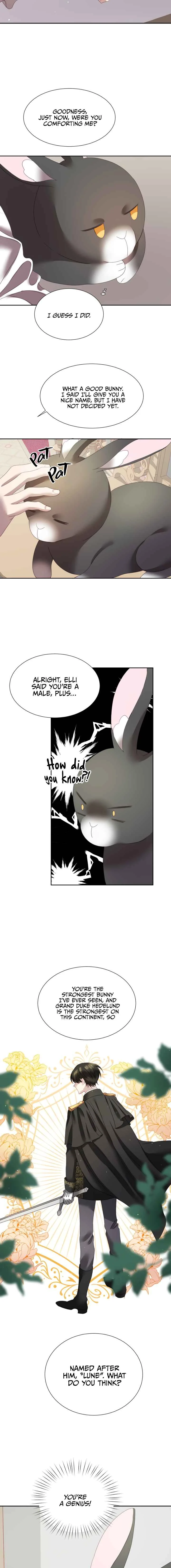The Fake Lady and Her Rabbit Duke Chapter 4 - Page 12