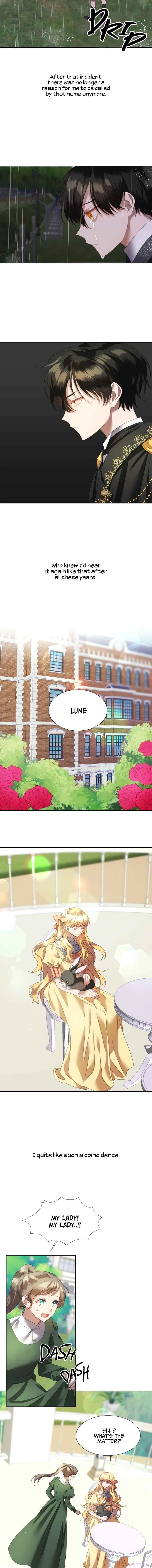 The Fake Lady and Her Rabbit Duke Chapter 5 - Page 2