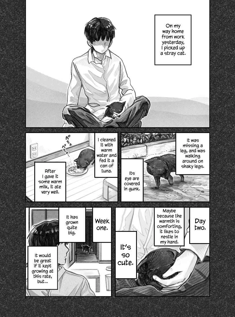 The Story of How I Found My Cat Chapter 1 - Page 3