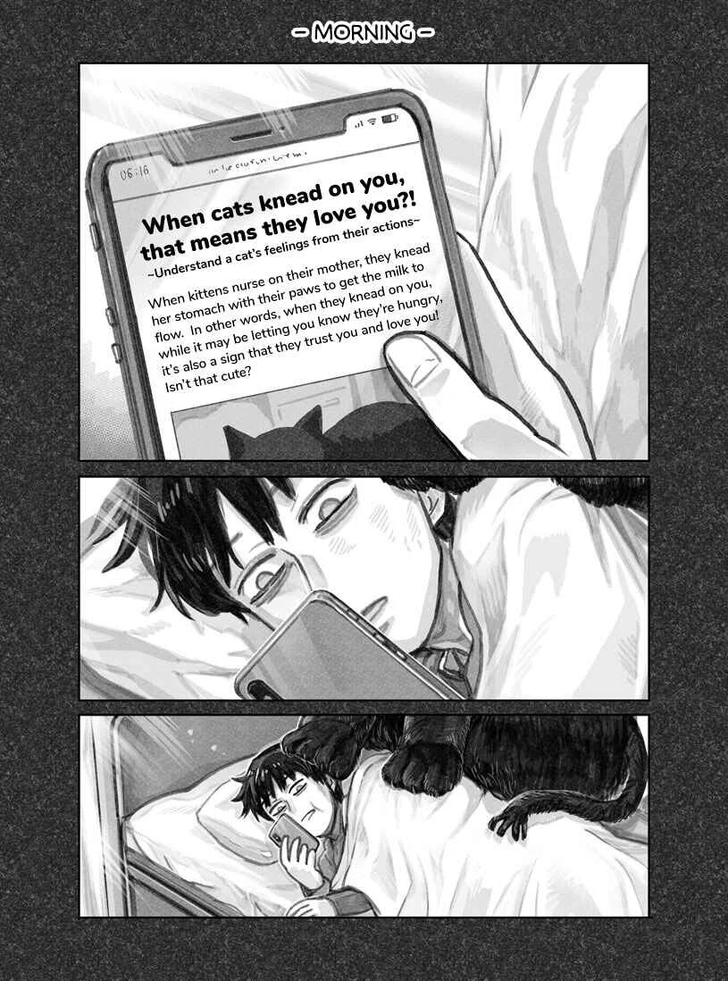 The Story of How I Found My Cat Chapter 1 - Page 8