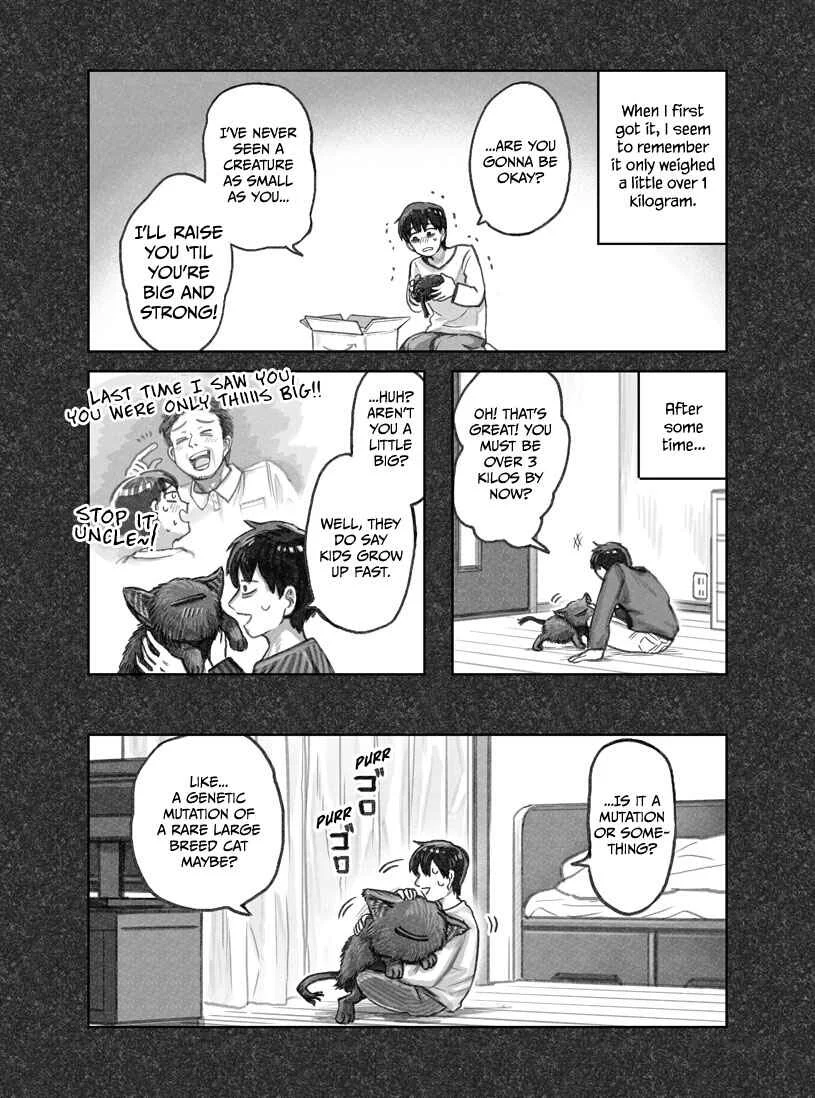 The Story of How I Found My Cat Chapter 1 - Page 11
