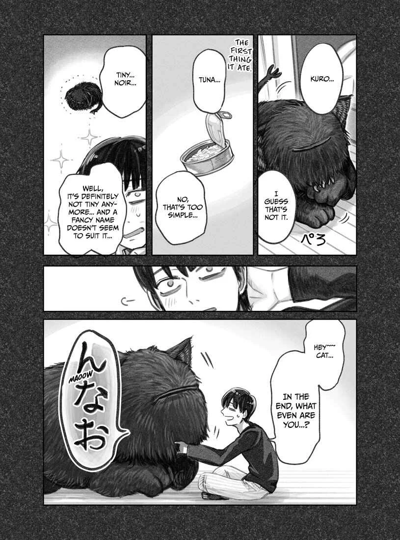 The Story of How I Found My Cat Chapter 1 - Page 31