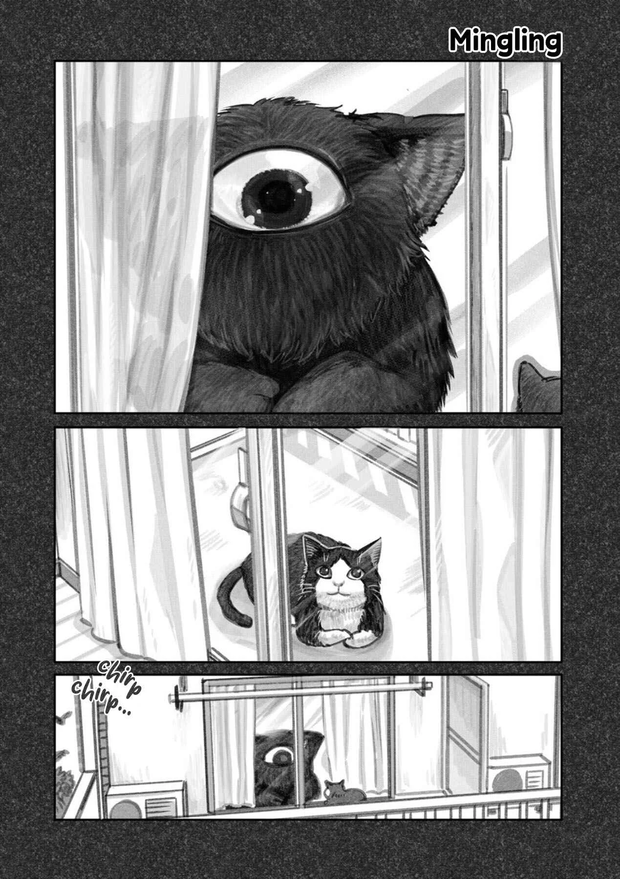 The Story of How I Found My Cat Chapter 2 - Page 11