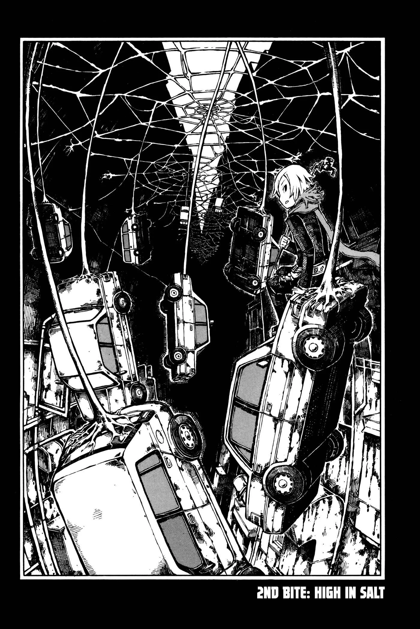 Vanilla Spider Chapter 2: High in Salt - Page 2