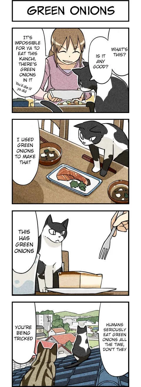 We Are Cats Chapter 3 - Page 1