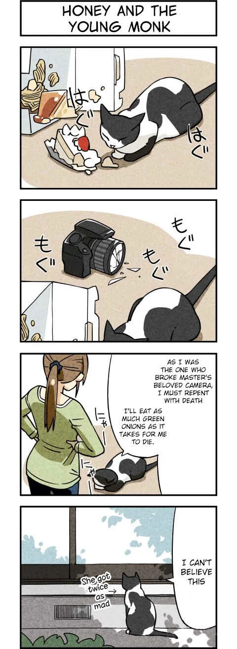 We Are Cats Chapter 3 - Page 2