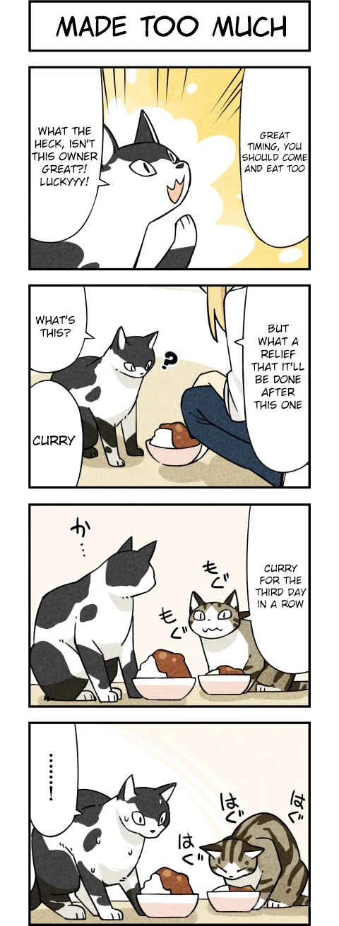We Are Cats Chapter 3 - Page 4