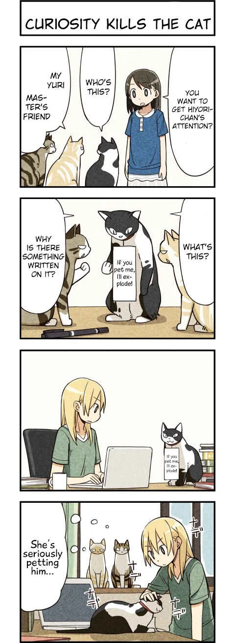 We Are Cats Chapter 5 - Page 5