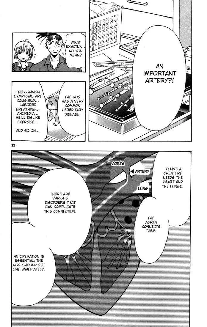 Wild Life Chapter 1: Signpost of a Dream - Page 31