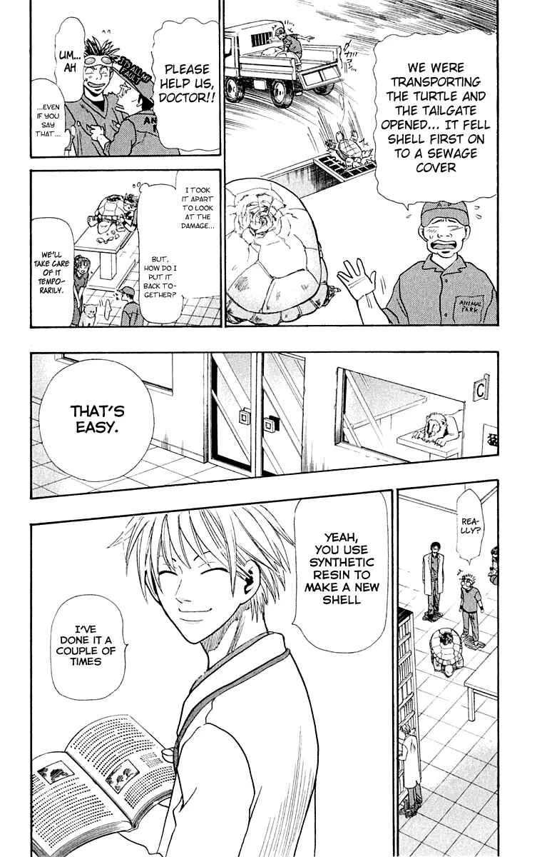 Wild Life Chapter 12: Ryouto and the Turtle - Page 1