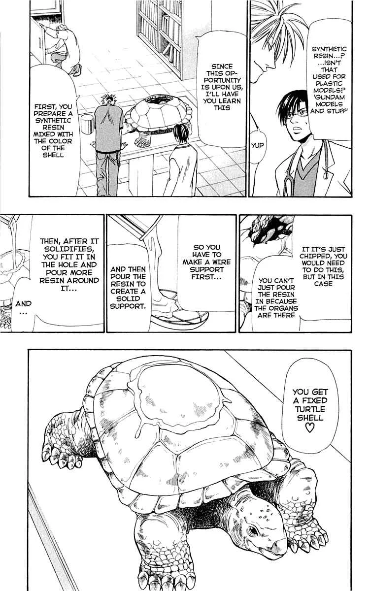 Wild Life Chapter 12: Ryouto and the Turtle - Page 2