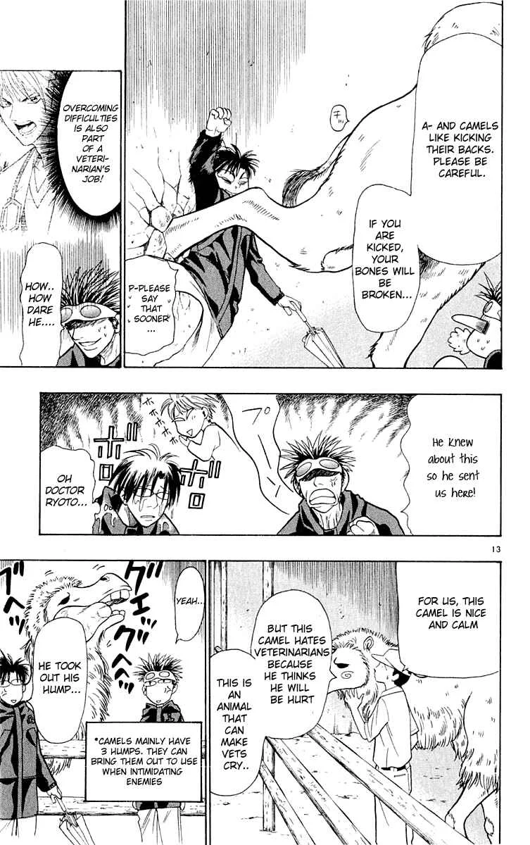 Wild Life Chapter 15: Both Ryouto and the Camel - Page 13