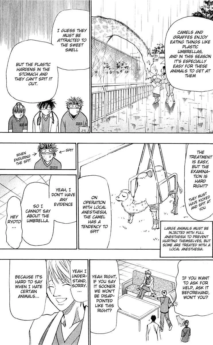 Wild Life Chapter 15: Both Ryouto and the Camel - Page 17
