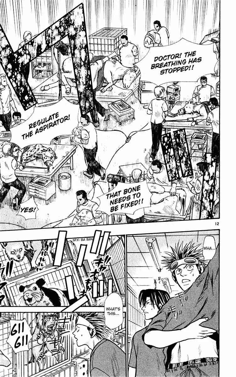 Wild Life Chapter 20: A Monkey's Also a Monkey - Page 13
