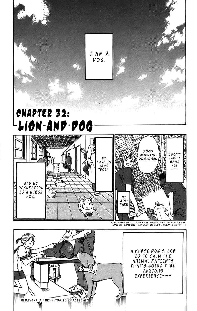 Wild Life Chapter 32: Lion and Dog - Page 1