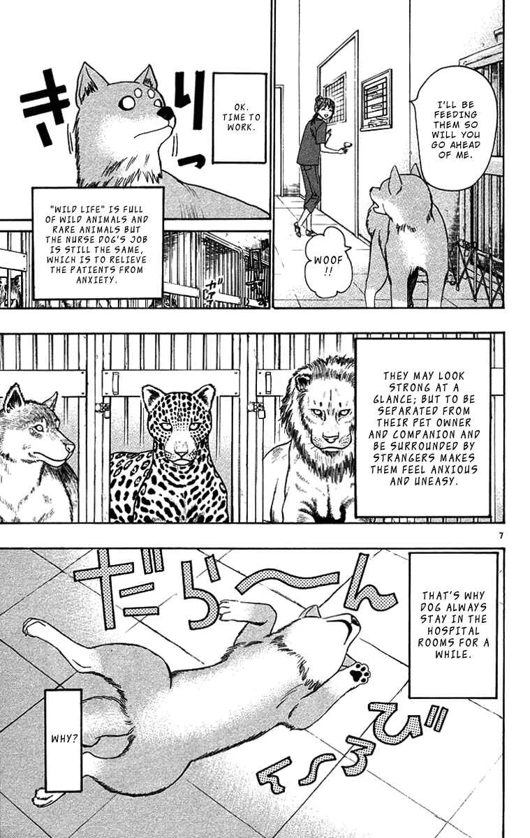Wild Life Chapter 32: Lion and Dog - Page 7