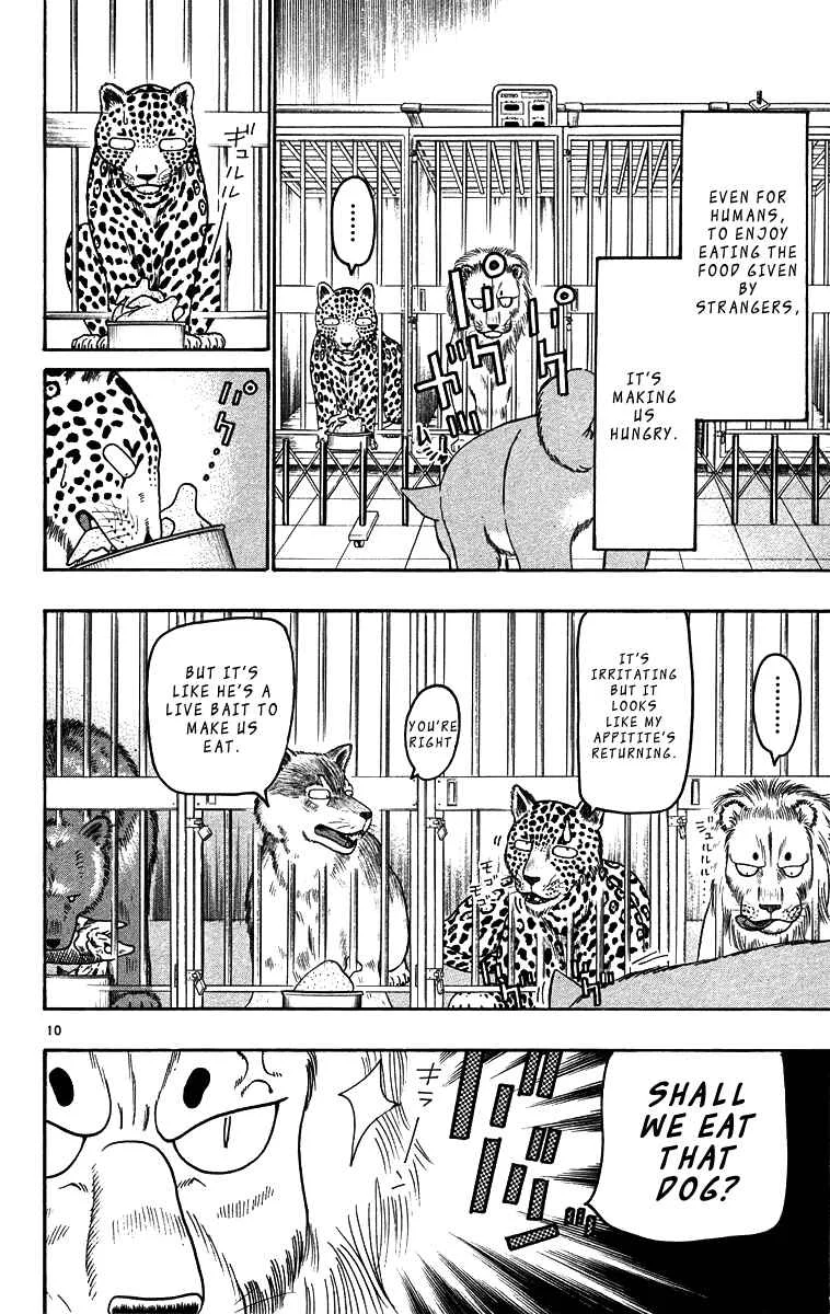 Wild Life Chapter 32: Lion and Dog - Page 10