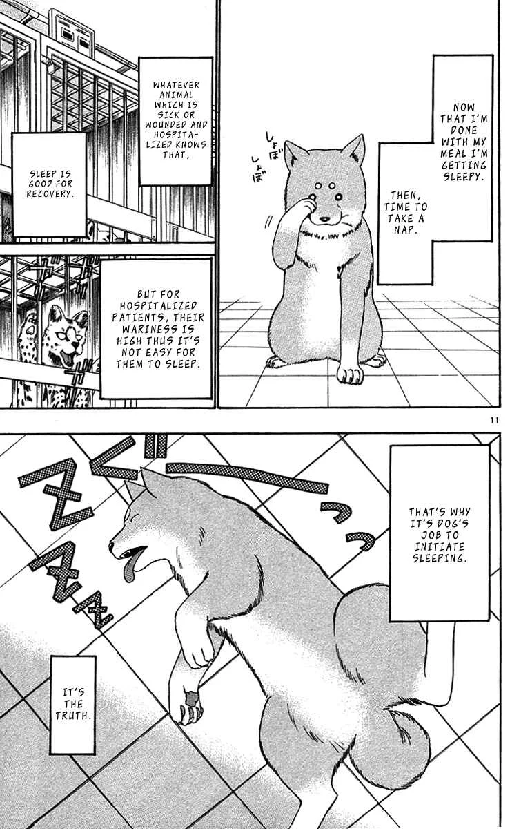 Wild Life Chapter 32: Lion and Dog - Page 11