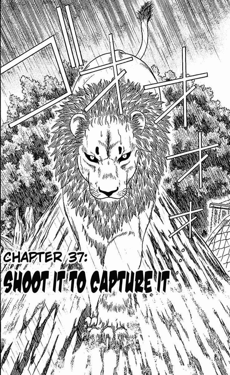 Wild Life Chapter 37: Shoot It to Capture It - Page 6