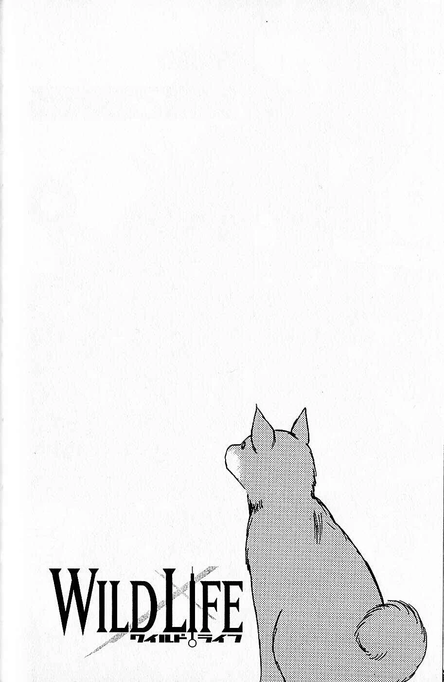 Wild Life Chapter 38: Feeling of Being Abandoned - Page 5