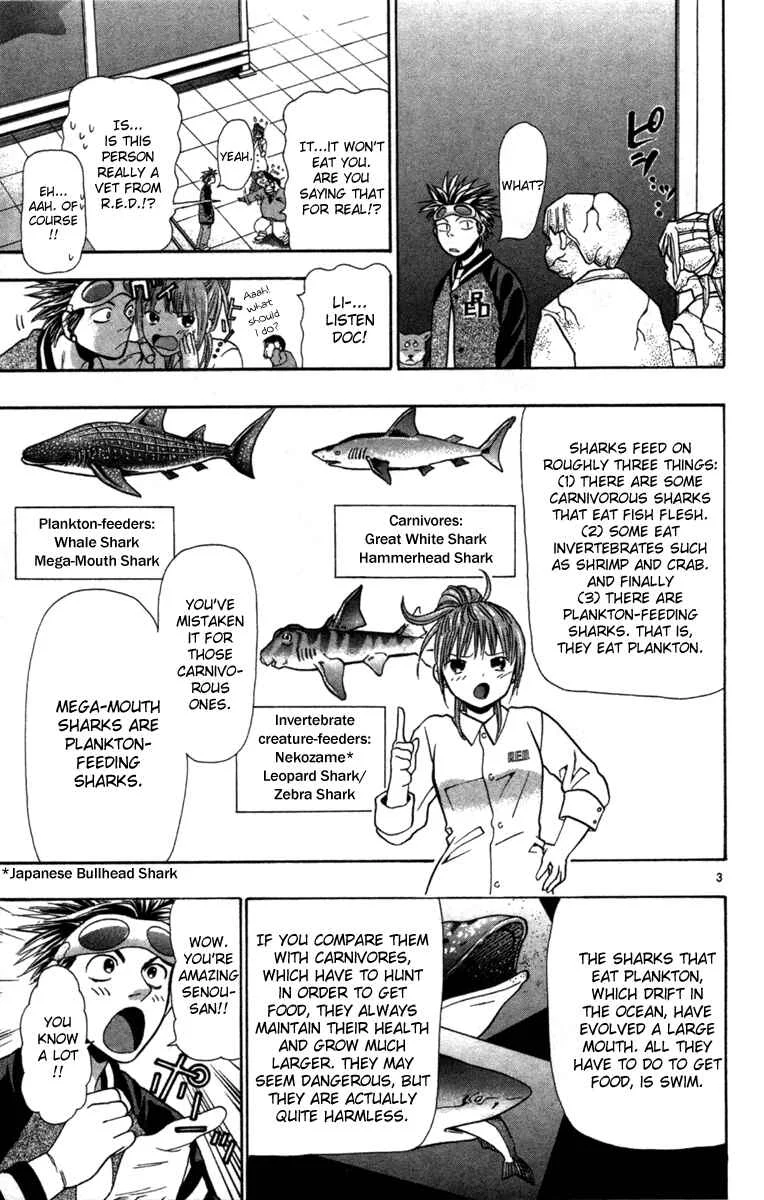 Wild Life Chapter 4: University of America - Page 3