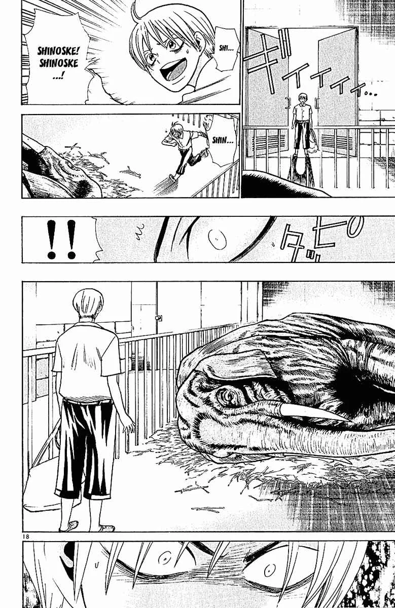 Wild Life Chapter 43: War and Peace - Page 17