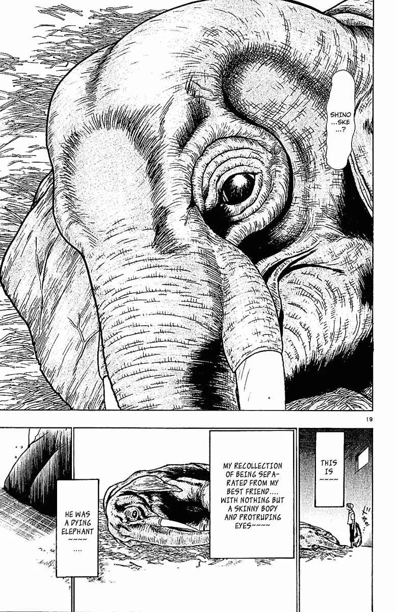 Wild Life Chapter 43: War and Peace - Page 18