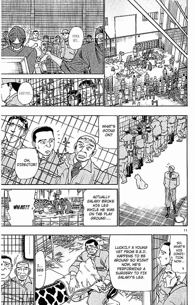 Wild Life Chapter 44: The Young Giraffe "Galaxy" - Page 10