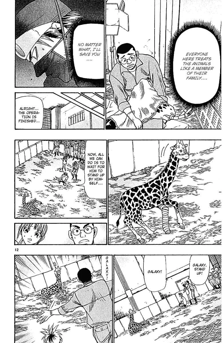 Wild Life Chapter 44: The Young Giraffe "Galaxy" - Page 11