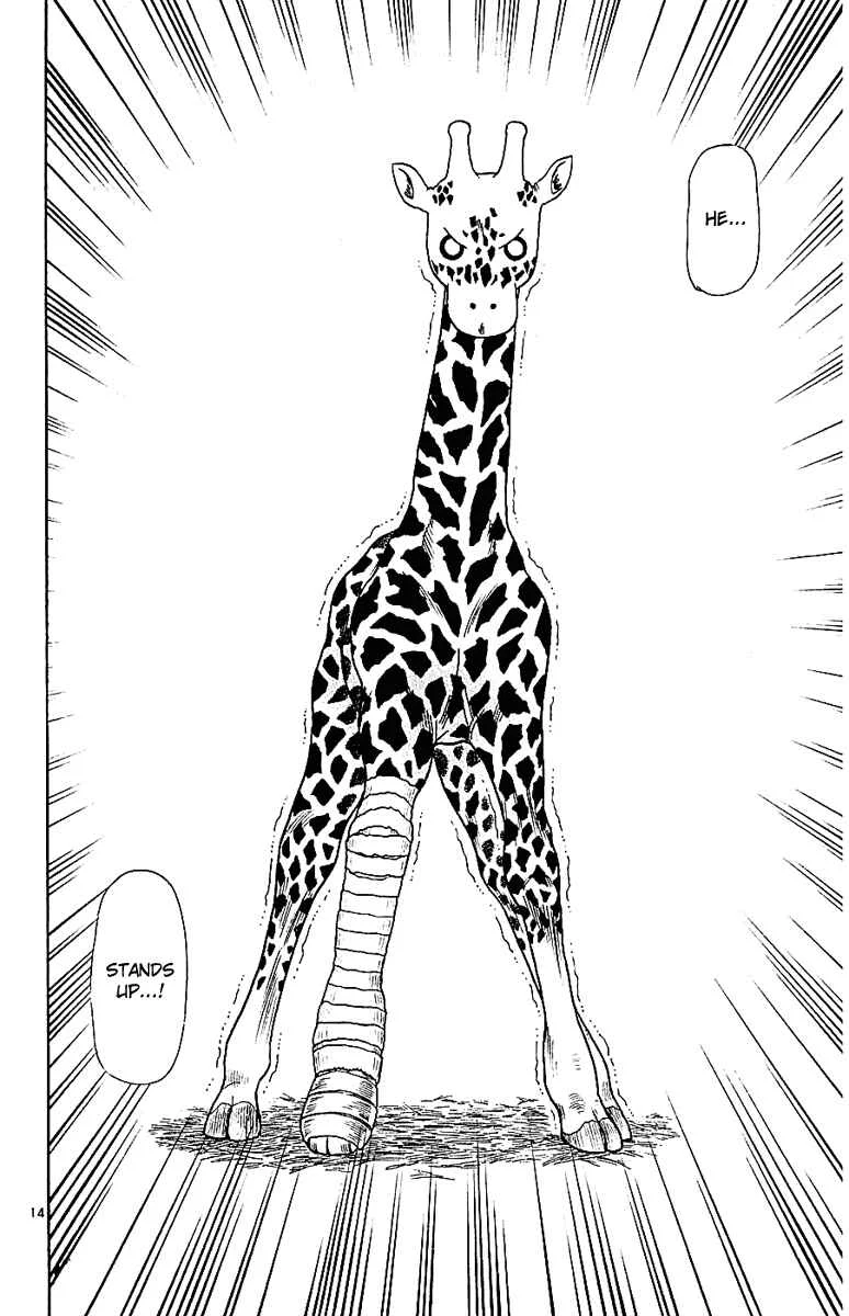 Wild Life Chapter 44: The Young Giraffe "Galaxy" - Page 13