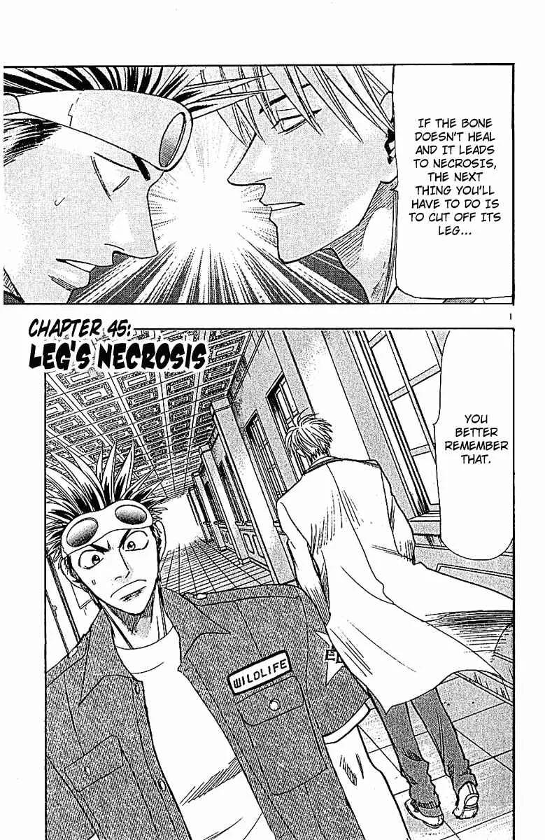 Wild Life Chapter 45: Leg's Necrosis - Page 1