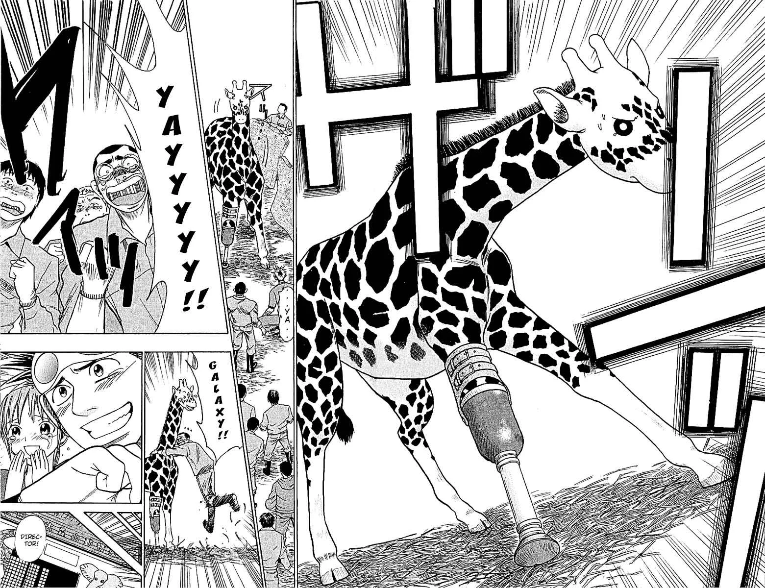 Wild Life Chapter 46: The Will to Live - Page 19