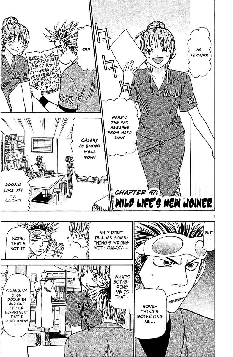 Wild Life Chapter 47: Wild Life's New Joiner - Page 1