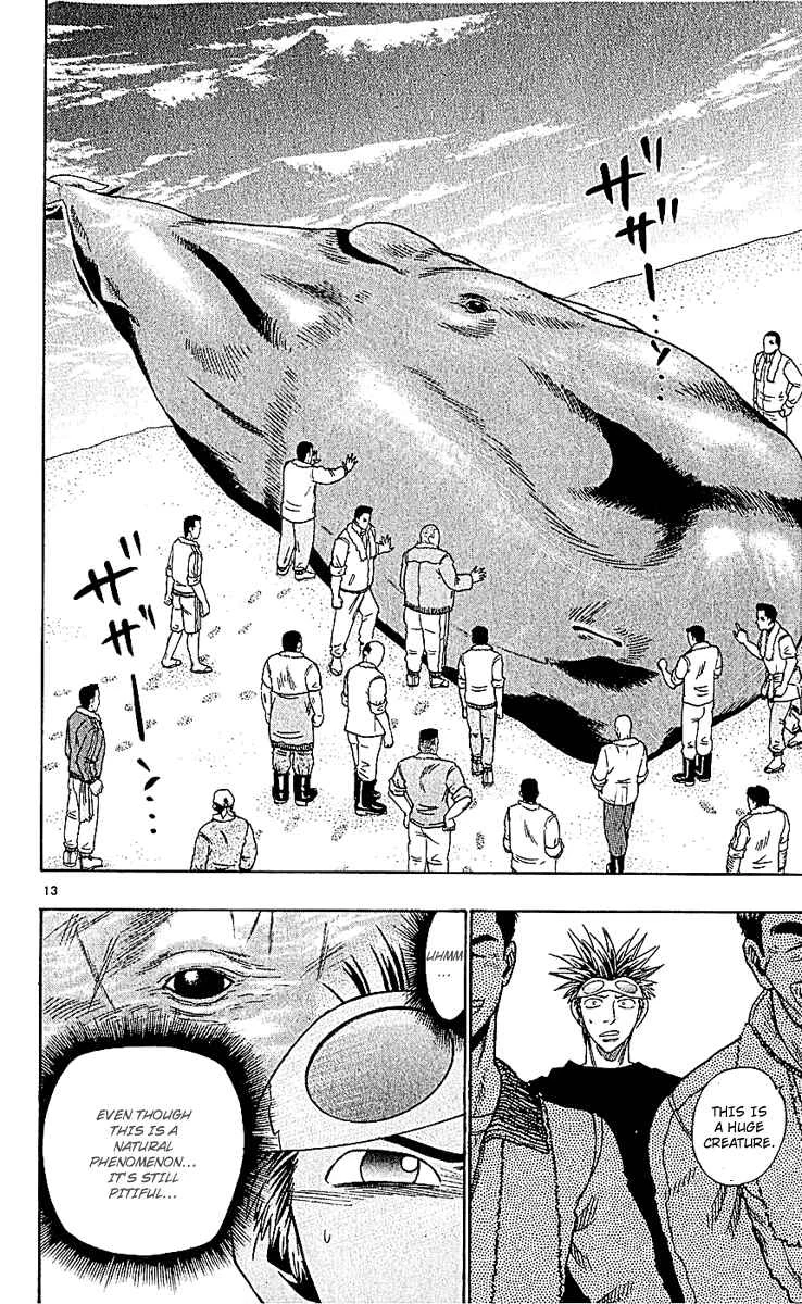 Wild Life Chapter 49: Ashore Whales - Page 11