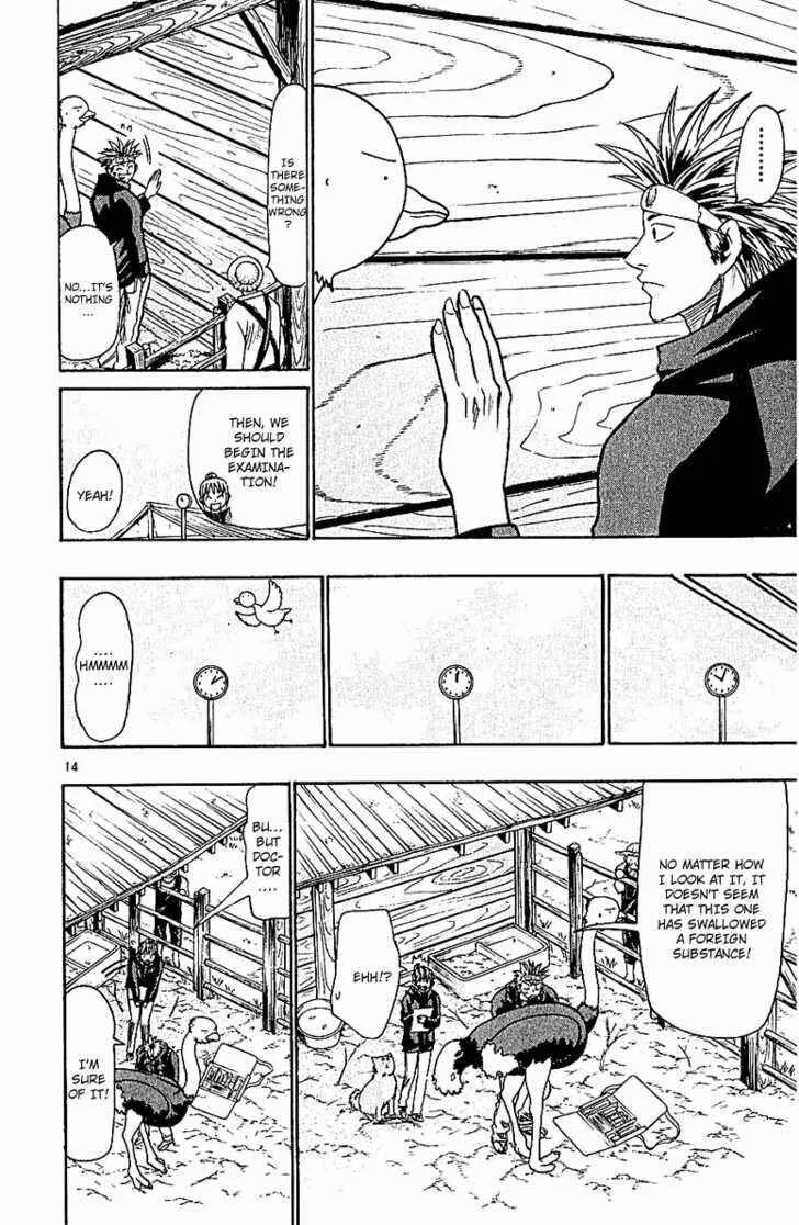 Wild Life Chapter 54: Comrade? Yukie? - Page 14
