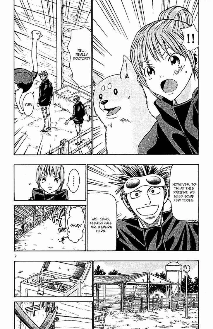 Wild Life Chapter 55: Humans and Ostriches Too... - Page 2
