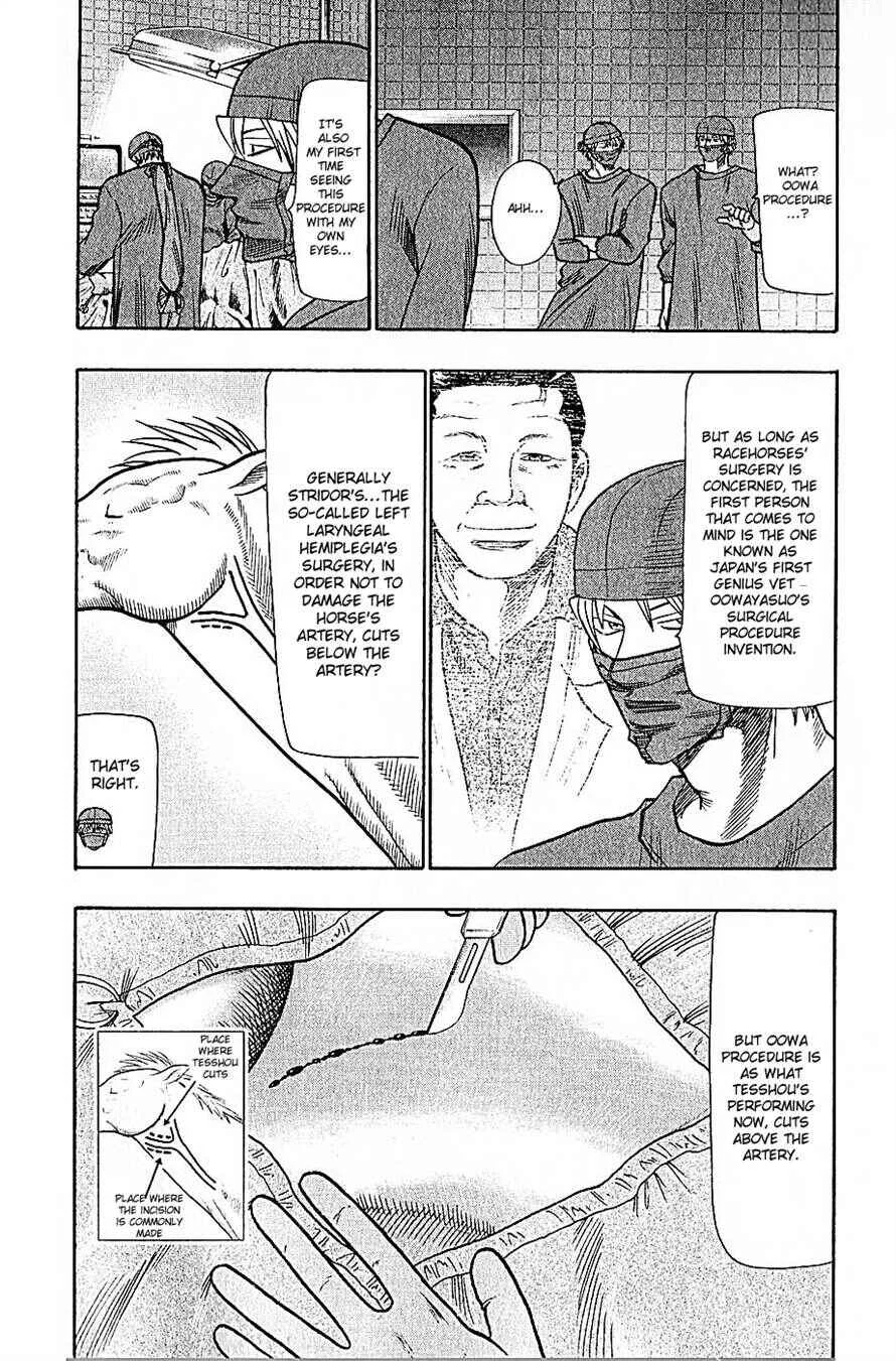 Wild Life Chapter 69: What Kind of People Will Horses Adopt to? - Page 2
