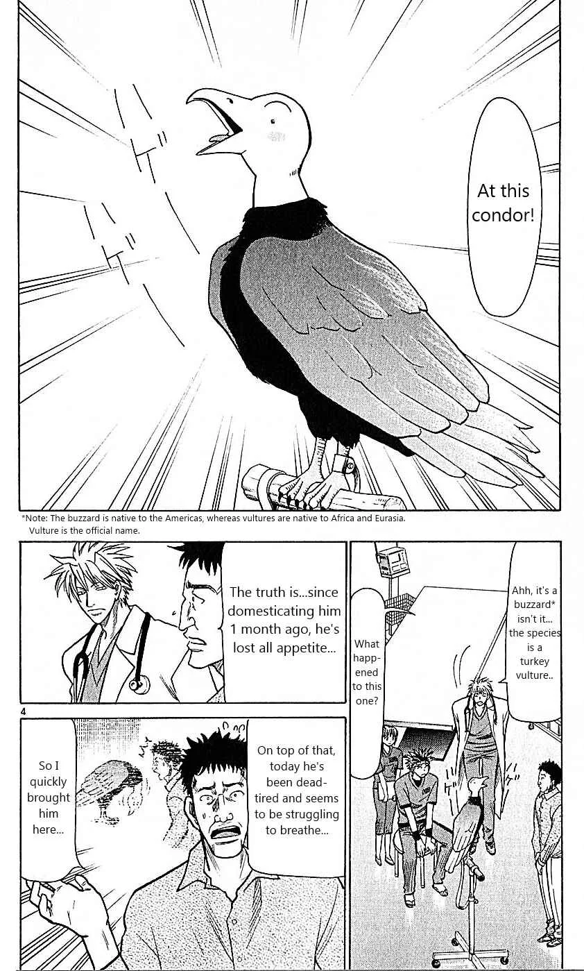 Wild Life Chapter 75: The Condor is Balding - Page 4