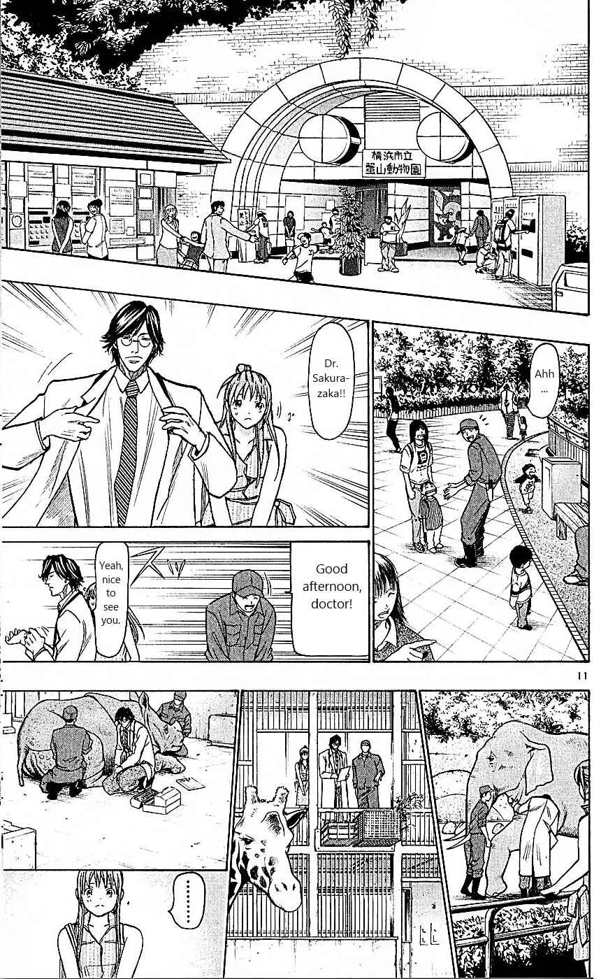 Wild Life Chapter 76: How Did It Come to That? - Page 11